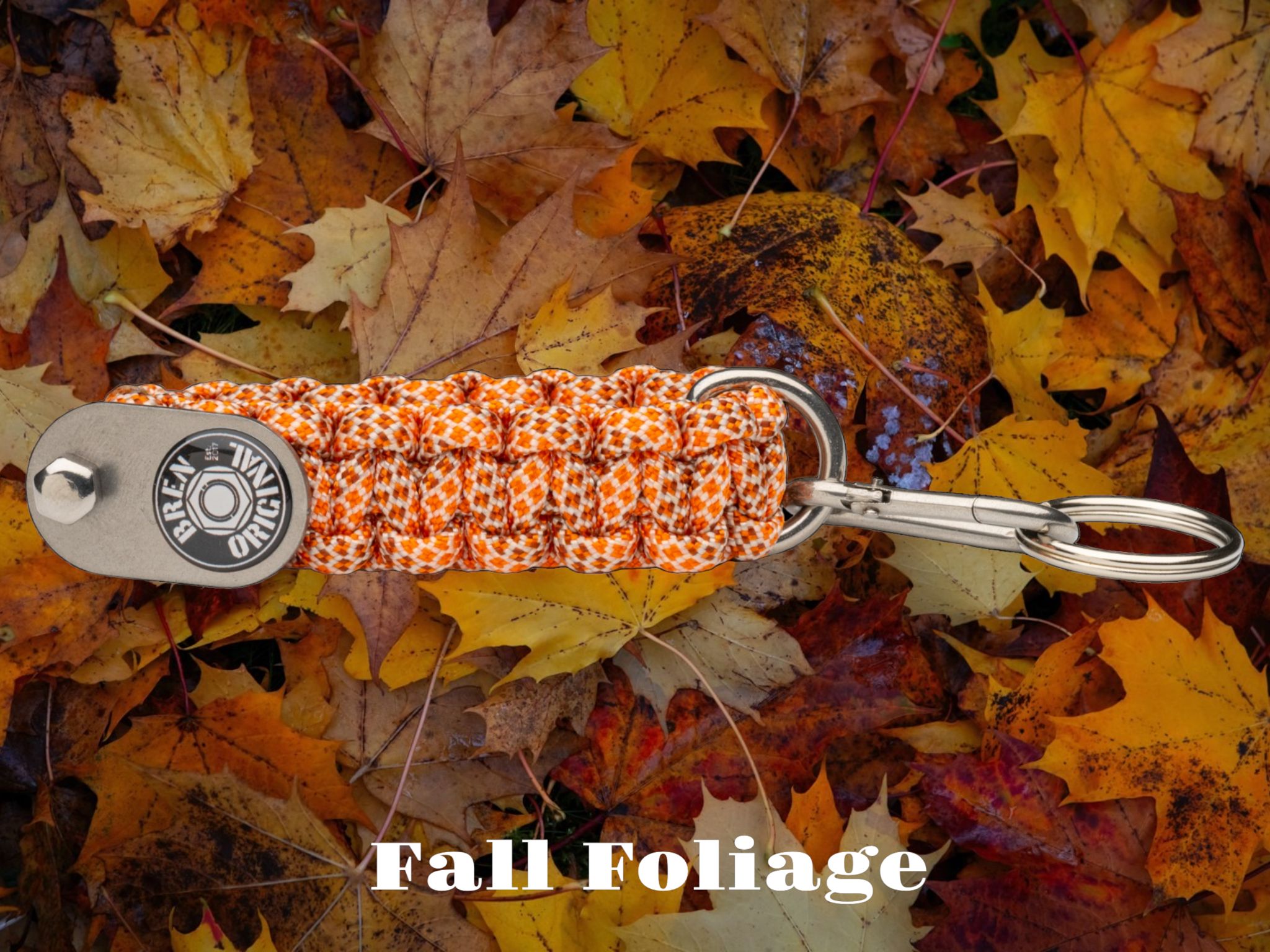 Fall Foliage